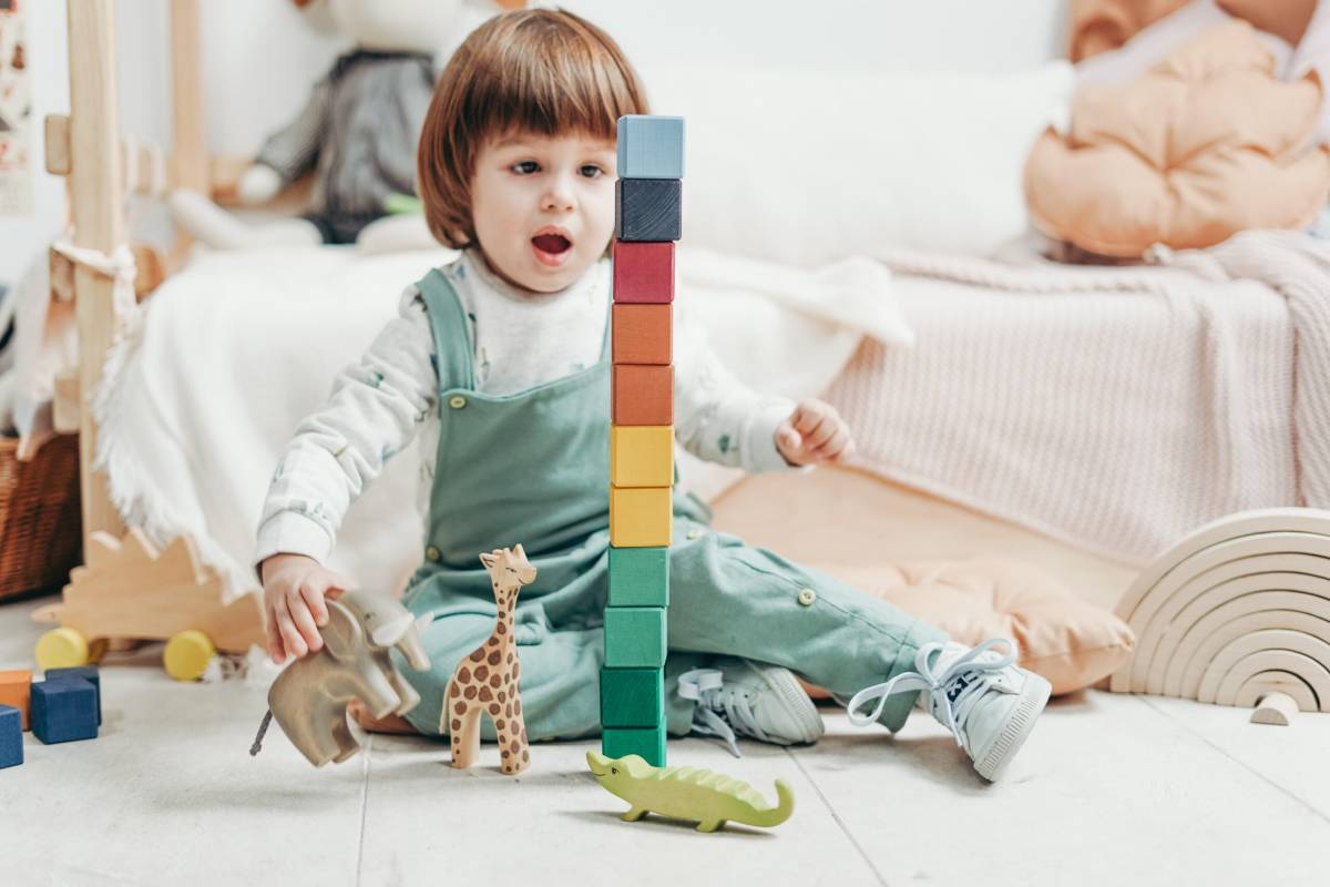 boy and toys